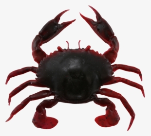 Savage Gear 3d Pvc Crab Soft Plastic Crab         Data - Crab Lures Fishing, HD Png Download, Transparent PNG