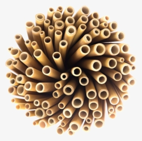 Wholesale Bamboo Straws, HD Png Download, Transparent PNG