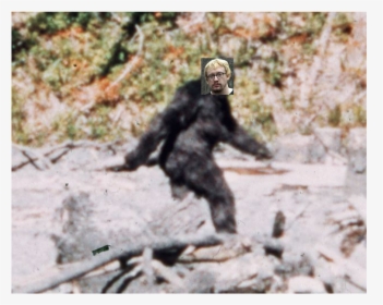 Bigfoot Washington, HD Png Download, Transparent PNG