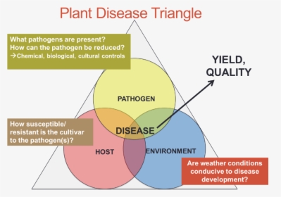 Triangle Of Disease Development In Plants, HD Png Download, Transparent PNG
