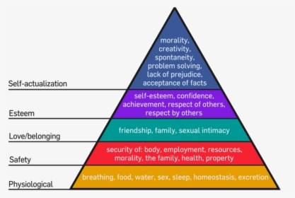 Maslow's Hierarchy Of Needs Activity, HD Png Download, Transparent PNG