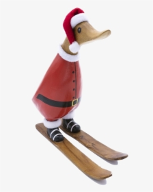 Skiing Santa Duckling - Mallard, HD Png Download, Transparent PNG
