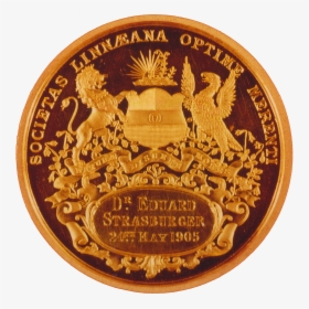 Eduard Strasburger Linne Medaille - Coin, HD Png Download, Transparent PNG