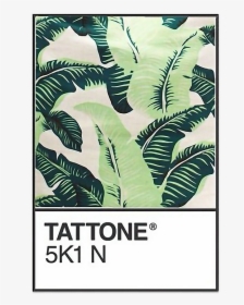 #pantone #leaves #pattern #leaf #nature #jungle #tropical - Green Overlay Aesthetic Png, Transparent Png, Transparent PNG