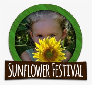 Explore Our Sunflower Fields During Our Annual Sunflower - Sunflower, HD Png Download, Transparent PNG