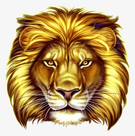 50 Lions Slot Game - Lion Slot Game Png, Transparent Png, Transparent PNG
