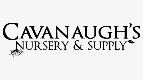 Cavanaugh S Nursery And Supply - And, HD Png Download, Transparent PNG