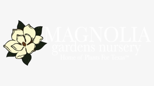 Magnolia Gardens Nursery™ Logo - Dane Axe, HD Png Download, Transparent PNG