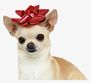 Chihuahua Dog For Sale Transparent Background - Chihuahua Png, Png Download, Transparent PNG