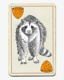 Drawing Of A Racoon - Hog Nosed Skunk, HD Png Download, Transparent PNG