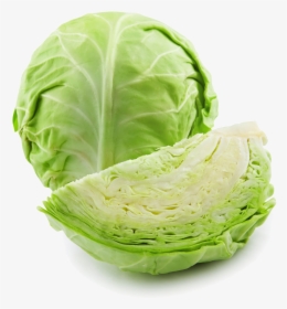Cabbage Png High-quality Image - Cabbage .png, Transparent Png, Transparent PNG