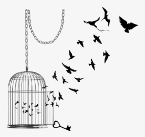 Caged Bird Png Pic - Bird Flying Out Of Cage Drawing, Transparent Png, Transparent PNG