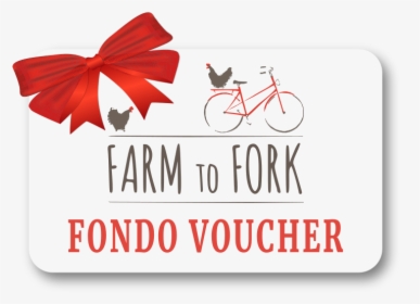Fondo Voucher Card Page, HD Png Download, Transparent PNG