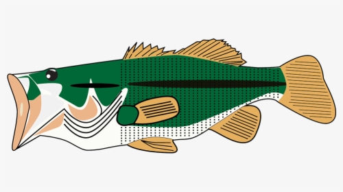Fish Graphic Sea Bass, HD Png Download, Transparent PNG