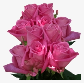 Real Roses Dark Purple Colors Roses Flowers Cheap 50 - Real Rose Flower, HD Png Download, Transparent PNG