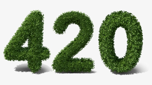 Grass, HD Png Download, Transparent PNG