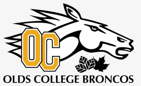 Olds Broncos , Png Download - Olds College Broncos Logo, Transparent Png, Transparent PNG