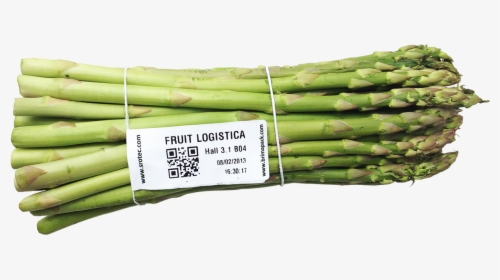 Garden Asparagus , Png Download - Welsh Onion, Transparent Png, Transparent PNG