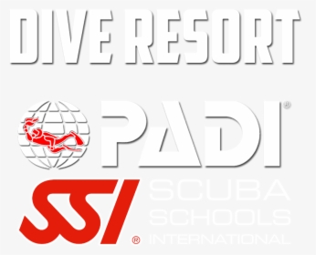 Padi, HD Png Download, Transparent PNG