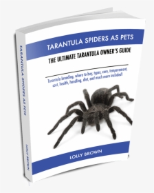 , Table Of Contents, Tarantula Spiders - Pet Tarantula, HD Png Download, Transparent PNG