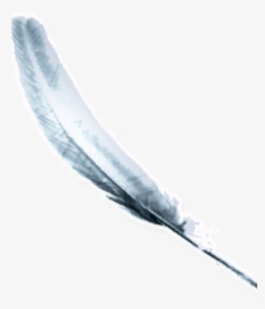 Angel Wings - Darkness, HD Png Download, Transparent PNG