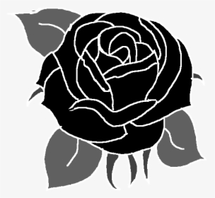 Garden Roses , Png Download - Illustration, Transparent Png, Transparent PNG