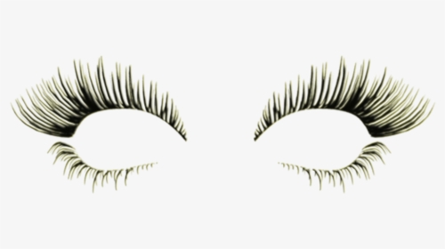 Lashes, Diva Slimming And Aesthetics - Eyelash Extensions, HD Png Download, Transparent PNG