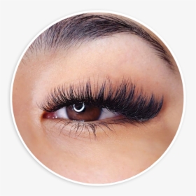 Lashes - Eyelash Extensions, HD Png Download, Transparent PNG