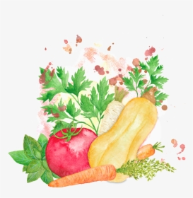 Colorful Hand Drawn Cartoon Vegetable Kitchen Transparent - 蔬菜 手繪, HD Png Download, Transparent PNG