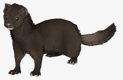 Mink Ferret Drawing Clip Art - Mink Png, Transparent Png, Transparent PNG