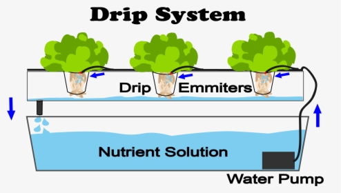 This Is A Diagram Of A Drip Hydroponic System - Hydroponic Systems, HD Png Download, Transparent PNG