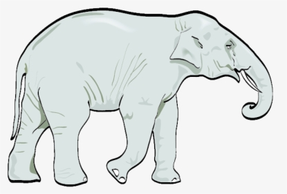 Elephant - Clipart - Indian Elephant, HD Png Download, Transparent PNG