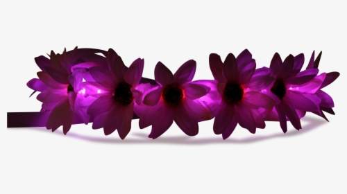 Pink Glowing Flower Crown Transparent, HD Png Download, Transparent PNG