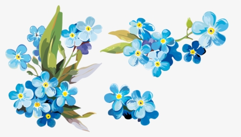 Drawing Forget Me Not, HD Png Download, Transparent PNG