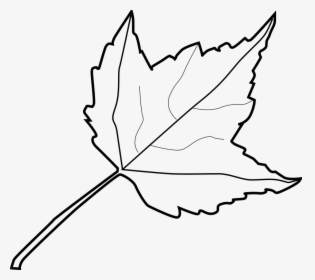 Leaf Outline Tree Outline With Leaves Clipart - Leaf Clipart Black And White, HD Png Download, Transparent PNG