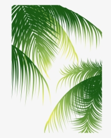 Euclidean Arecaceae Coconut Material - Coconut Leaves Vector Png, Transparent Png, Transparent PNG