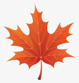 Autumn Leaves Png Images Free Png Yellow Leaves - Cartoon Fall Leaf Png, Transparent Png, Transparent PNG