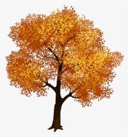 Clip Art Portable Network Graphics Fall Tree Image - Tree Without Background Png, Transparent Png, Transparent PNG
