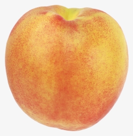 Peach Png Image - Peach Fruit Blank Background, Transparent Png, Transparent PNG