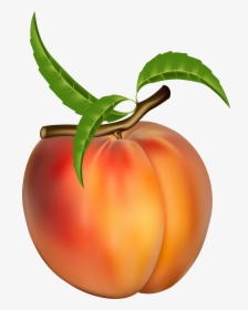 Peach Clip Art Images - Peach Fruit Clipart, HD Png Download, Transparent PNG