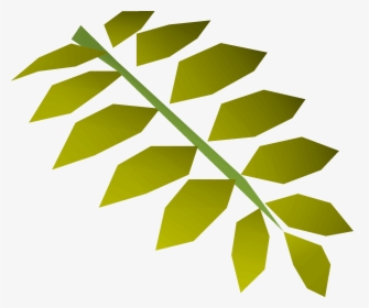 Old School Runescape Wiki - Curry Leaf Png, Transparent Png, Transparent PNG