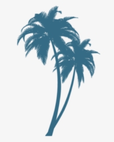 Black Palm Tree Design, HD Png Download, Transparent PNG