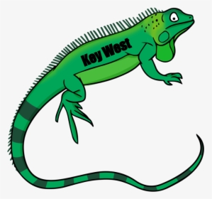 Lizard Green Iguana Clip Art Reptile Openclipart - Iguana Clipart Png, Transparent Png, Transparent PNG
