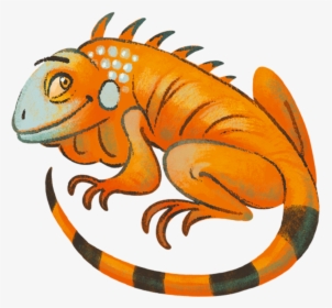 Iguana Clipart Orange - Iguana, HD Png Download, Transparent PNG