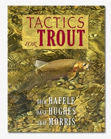 Tactics For Trout - Trout, HD Png Download, Transparent PNG