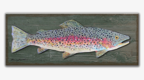 Trout PNG Images, Transparent Trout Image Download , Page 2 - PNGitem