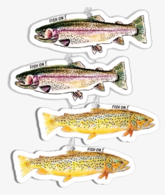 Trout Fresheners - Trout, HD Png Download, Transparent PNG