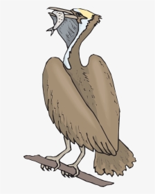 Fågel Som Äter Fisk, HD Png Download, Transparent PNG