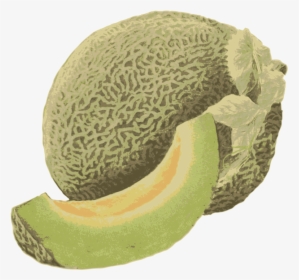 Cantaloupe,honeydew,food - Honeydew, HD Png Download, Transparent PNG