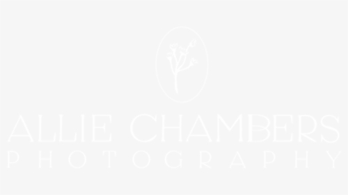 Alliechambersphotography White-01, HD Png Download, Transparent PNG
